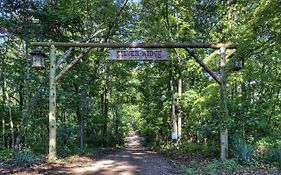Silver Ridge